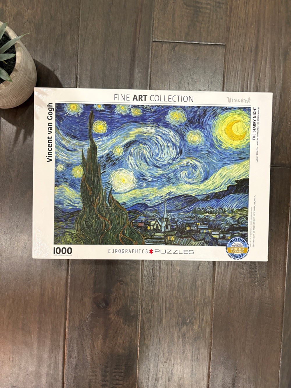 "The Starry Night" Eurographics Puzzle